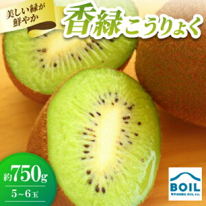 �y�ӂ邳�Ɣ[�Łz�L�E�C�@�������΂��N�₩�ȁ@����(������傭)��750g(5�`6��)�y�z���s�n��F�����z�y1678281�z