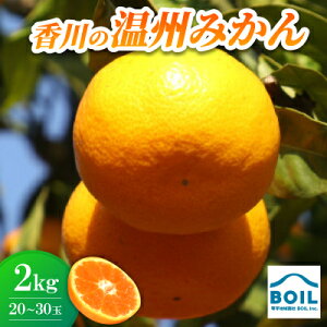 yӂ邳Ɣ[ŁzB݂@2kg(20`30)yzsnFzy1680211z