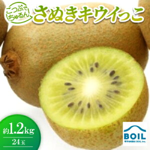 yӂ邳Ɣ[ŁzԂł@ʂLEC@1.2kg(24)yzsnFzy1680217z