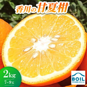 yӂ邳Ɣ[ŁzÉĊ@2kg(7`9)yzsnFzy1680392z