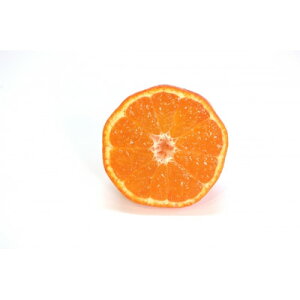 yӂ邳Ɣ[Łz쌧Y@g݂@2L`SyzsnFEkCEꌧzy1683990z