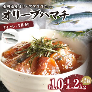 yӂ邳Ɣ[ŁzI[un}`i{Bj@tB[i3j | n}` {Bn}` I[u   hg hg ܂ ܂  ӎ  AW Y Yi YHi Hi O