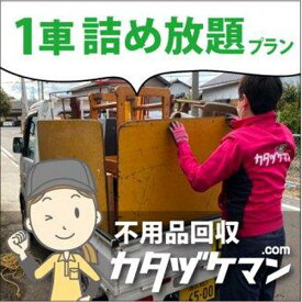 【ふるさと納税】不用品：軽トラック1車詰め放題プラン（カタヅケマン1名）【高松市限定】