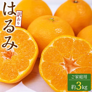 yӂ邳Ɣ[Łz󂠂 ƒp ͂ 3kgy2026-2{`2026-3{zz | ݂ ~J ʕ t[c k v`v` e Â 嗱 ʓ ʏ` Ղ u₩