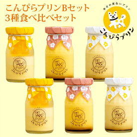 【ふるさと納税】こんぴらプリン　3種食べ比べセット（計6個） | 菓子 おかし スイーツ デザート 食品 人気 おすすめ 送料無料