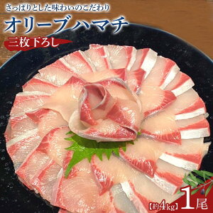 yӂ邳Ɣ[ŁzI[un}`1O낵 4kg | I[un}` n}`  쌧IWi  hg 쌧 s