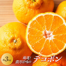 【ふるさと納税】【2027年3月中旬より順次発送】厳選！濃厚甘味の「不知火(しらぬい)」約3kg｜果物 くだもの フルーツ 柑橘 みかん 不知火 濃厚 甘い ミカン 人気 おすすめ 先行予約 香川 高松 | フルーツ 果物 くだもの 食品 人気 おすすめ 送料無料