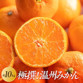 【ふるさと納税】【2026年11月上旬より順次発送】極撰！温州みかん　約10kg｜果物 くだもの フルーツ 柑橘 みかん 温州みかん 人気 おすすめ 先行予約 香川 高松 | フルーツ 果物 くだもの 食品 人気 おすすめ 送料無料