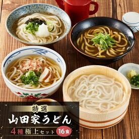 【ふるさと納税】特選 山田家うどん極上セット | うどん 食べ比べ セット 4種類 特選 山田家 名店 讃岐うどん 生うどん カレーうどん 釜だし かけだし ざるうどん もちもち コシ 詰め合わせ 食品 人気 おすすめ お取り寄せ お取り寄せグルメ 送料無料 麺類