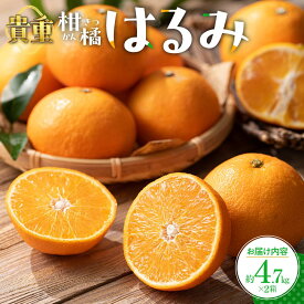 【ふるさと納税】貴重柑橘　はるみ　約4.7kg×2箱【2027年2月上旬～2027年3月中旬配送】 | みかん ミカン 果物 フルーツ 柑橘 プチプチ 弾ける 甘い 大粒 果肉 果汁 たっぷり 爽やか 丸ごと ギフト プレゼント 贈り物