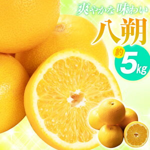 yӂ邳Ɣ[Łzu₩Ȗ킢  5kgy2026N2{`2026N3{zz | k ݂ ~J ʕ t[c 쌧 s ʎ ʓ  i H Â _ Mtg 蕨 p