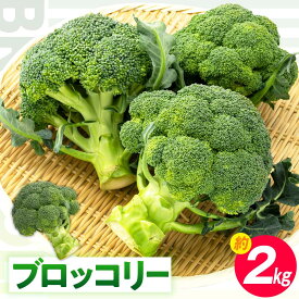 【ふるさと納税】ブロッコリー 約2kg【2026-11月中旬～2027-5月下旬配送】 | 国産 国産ブロッコリー 冷蔵 野菜 緑黄色野菜 新鮮 鮮度 栄養豊富 栄養価 お弁当 おかず 彩り ベジタブル ベジタリアン 自宅用 家庭用 ご家庭用 グルメ 料理 温野菜 サラダ 高松市産