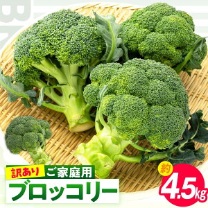 yӂ邳Ɣ[Łz󂠂 ƒpubR[ 4.5kgy2025-11{`2026-5{zz | s `s YubR[ ①  ΉF h{Lx ٓ  ʂ xW^u 