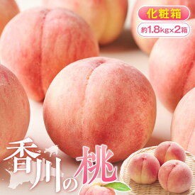 【ふるさと納税】香川の桃 化粧箱　約1.8kg×2箱【2026-6月中旬～2026-8月上旬配送】 | 果物 モモ フルーツ 瀬戸内 香川県 高松市