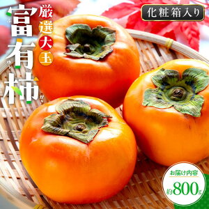 yӂ邳Ɣ[ŁzI xL` ϔ 800gy2025-10{`2025-12{zz | `  ʕ t[c fU[g  ʓ  ʏ` Ê` _炩 Mtg   v[g y