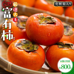 yӂ邳Ɣ[ŁzI n xL` ϔ 800gy2025-10{`2025-12{zz | ` ʕ t[c Mtg p 蕨 v[g Hi O lC  IXXO 