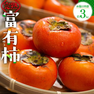 yӂ邳Ɣ[Łzn xL ` 3kg y2025-10{`2025-12{zz | ʕ t[c Hi O lC  IXXO  񂹃O Yn { 쌧 s 