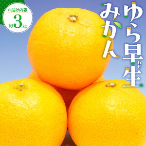yӂ邳Ɣ[Łz  ݂ 3kgy2025-9{`2025-11{zz | ʕ t[c k fU[g  Â In݂ x u₩ W[V[ ʏ` ʓ  