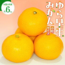 【ふるさと納税】小粒サイズ ゆら早生 みかん 約6kg 【2025-9月下旬～2025-11月上旬配送】 | 国産 高松市産 早生みかん 早生 小粒サイズ みかん 小粒 爽やか 酸味 濃厚 高糖度 フルーツ 柑橘 果物 果汁 贈り物 自宅用 家庭用 おすそ分け お取り寄せ 香川県 高松市