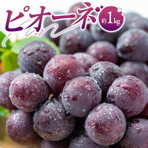 �y�ӂ邳�Ɣ[�Łz�s�I�[�l �� 1kg �Ԃǂ� �y2026-7�����{�`2026-9�����{�z���z | �u�h�E ���� �O���[�v �ʕ� �t���[�c �嗱 �햳�� ���˂Ȃ� �l�C �H�ׂ₷�� �Z�� �① ���� �M�t�g �ƒ�p ���쌧