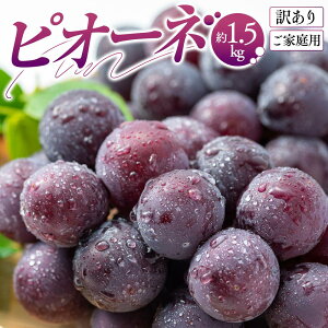 yӂ邳Ɣ[Łz󂠂 ƒp sI[l 1.5kgy2026-8{`2026-9{zz | ʕ t[c Z 嗱 Ȃ Â ʏ` lC Hׂ₷ fU[g   O 