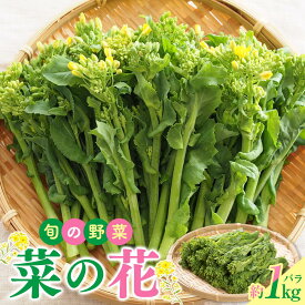 【ふるさと納税】旬の野菜 菜の花バラ 約1kg【2026-12月上旬～2027-3月下旬配送】 | 旬の野菜 春野菜 花菜 食用 ほろ苦い 和え物 炒め物 揚げ物 味噌汁 自宅用 家庭用 おすそ分け 和食 お取り寄せ 香川県 高松市