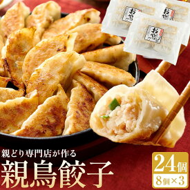 【ふるさと納税】親どり専門店が作る親鳥餃子（8個×3パック） | 骨付き鳥 骨付き鶏 骨付き 鶏肉 肉 骨付き肉 若鶏 鶏肉専門店 味付き スパイス 焼くだけ おかず ディナー 誕生日 記念日 パーティー グルメ お取り寄せ おすすめ 香川県 高松市 送料無料
