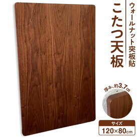 【ふるさと納税】こたつ天板　120サイズ　ウォールナット突板貼　天板取替え用 | インテリア ファニチャー 人気 おすすめ 送料無料