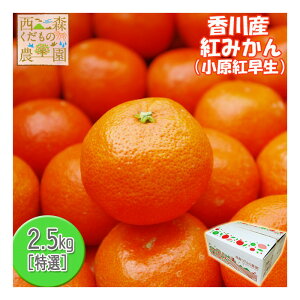 yӂ邳Ɣ[Łzw2025N~stxIWiiug݂(g)v2.5kg[̂V[t] | t[c ʕ  Hi lC  