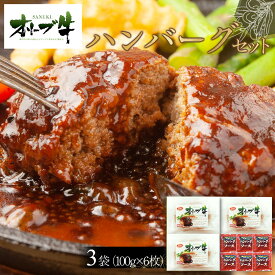 【ふるさと納税】オリーブ牛　ハンバーグ3袋(100g×6枚)セット | 肉 お肉 にく 牛肉 オリーブ牛 ハンバーグ 便利 食品 香川県産 人気 おすすめ 送料無料 ギフト