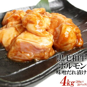 yӂ邳Ɣ[ŁzјazXЂ4kgi200g×20j |   ɂ Hi Mtg