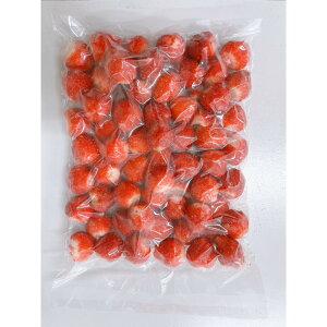 yӂ邳Ɣ[ŁzⓀ(ʂЂ)500g×20 | Hi HHi lC  