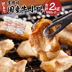 yӂ邳Ɣ[ŁzsƖpEAtY@@2kg |   ɂ Hi lC