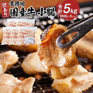 yӂ邳Ɣ[ŁzsƖpEAtY@@5kg |   ɂ Hi lC