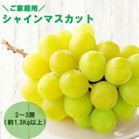 【ふるさと納税】【感謝企画】【8月下旬～10月初旬発送】ご家庭用シャインマスカット　2～3房（約1.3Kg以上）