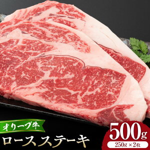 yӂ邳Ɣ[ŁzI[u[XXe[L250g2