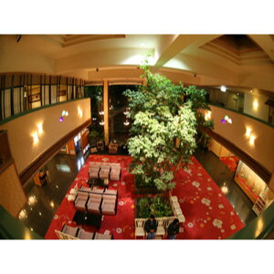 yӂ邳Ɣ[Łzy[̓@HOTELԎCzx12Ht yAhsIVCtat