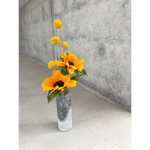 yӂ邳Ɣ[Łz΁@ԕr@COLUMN wave