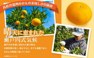 【ふるさと納税】\温州みかん/【選べる内容量】 瀬戸内 温州みかん 2L〜Mサイズ混合 | 先行予約 ミカン 果物 くだもの フルーツ 人気 おすすめ 香川 香川県 蜜柑 甘い 詰合せ 詰め合わせ ふ