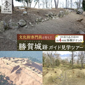 【ふるさと納税】文化財専門員と行く！勝賀城ガイド見学ツアー【自由研究/夏休みの特別な体験に】