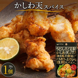 【ふるさと納税】かしわ天スパイス(30g1袋)