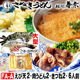 【ふるさと納税】冷凍さぬきうどん 麵処 春奈 人気の3種6人前 肉うどん えび天 きつね