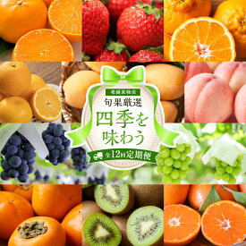 【ふるさと納税】【定期便全12回】旬果厳選！四季を味わう単品定期便♪ | フルーツ 果物 くだもの 食品 人気 おすすめ 送料無料