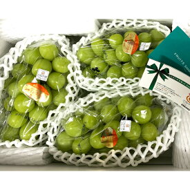 【ふるさと納税】「さぬき讃フルーツ認定」シャインマスカット 約1.5kg | シャインマスカット 葡萄 ぶどう マスカット 果物 フルーツ 食品 グルメ 人気 おすすめ 四国 香川県 高松市 送料無料