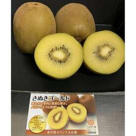 【ふるさと納税】さぬきゴールドキウイ「黄様」16個入り | キウイ ゴールドキウイ 黄様 果物 フルーツ 食品 グルメ 人気 おすすめ 四国 香川県 高松市 送料無料