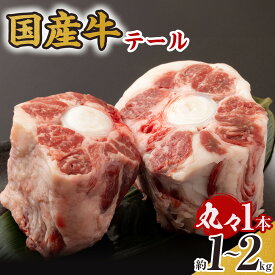 【ふるさと納税】国産牛 テール 丸々1本　(約1～2kg) | 肉 お肉 にく 牛肉 うし肉 テール 1本 まるまる 国産牛 食品 人気 おすすめ 送料無料 ギフト