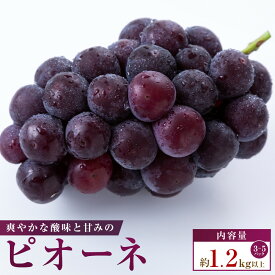 【ふるさと納税】【小分けパック入り】パクパク食べられる・ピオーネパック　約1.2kg以上