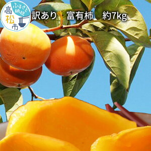 yӂ邳Ɣ[Łz󂠂@xL`@7kgy2025-10{`2025-12{zz | ƒp ` ʕ t[c fU[g XC[c _炩 Ê`  Hi lC   Yn 