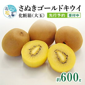 【ふるさと納税】 さぬき ゴールドキウイ 大玉 約 600g 香川県産 黄金色の果肉 化粧箱入り贈答 果物 フルーツ デザート スイーツ 産地直送 食品 人気 おすすめ お取り寄せ お取り寄せグルメ 送料無料