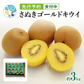 【ふるさと納税】 さぬきゴールドキウイ 約3kg 化粧箱入り キウイ 甘い 大きい 果物 フルーツ デザート スイーツ 産地直送 ギフト 贈り物 贈答用 プレゼント 食品 人気 おすすめ お取り寄せ お取り寄せグルメ 送料無料